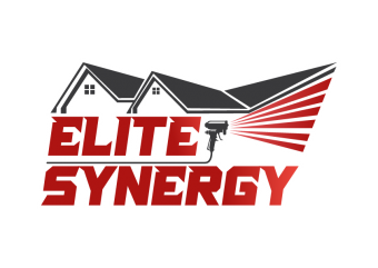 Elite Synergy
